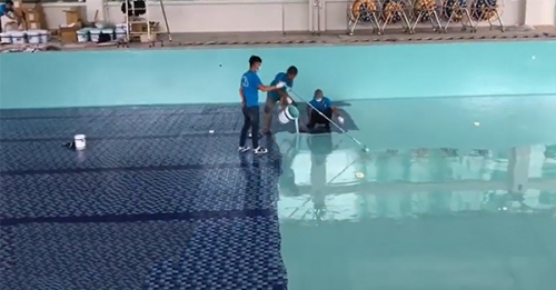 Giá sơn epoxy chống thấm tại Thanh Hóa Giá sơn epoxy chống thấm tại Thanh Hóa